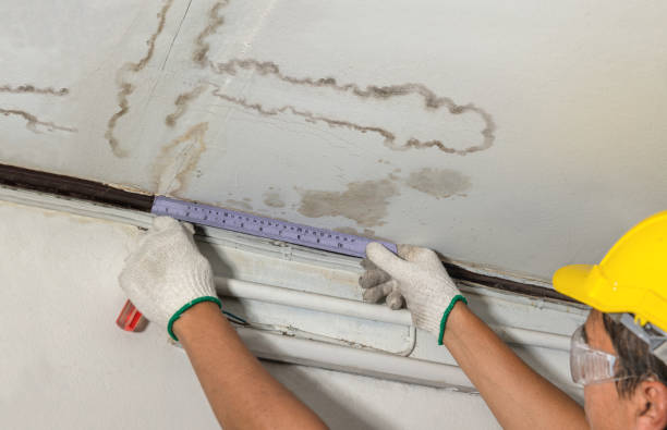 Reliable Basement Water Removal contractor in Cotati, CA by Water Damage Irwin